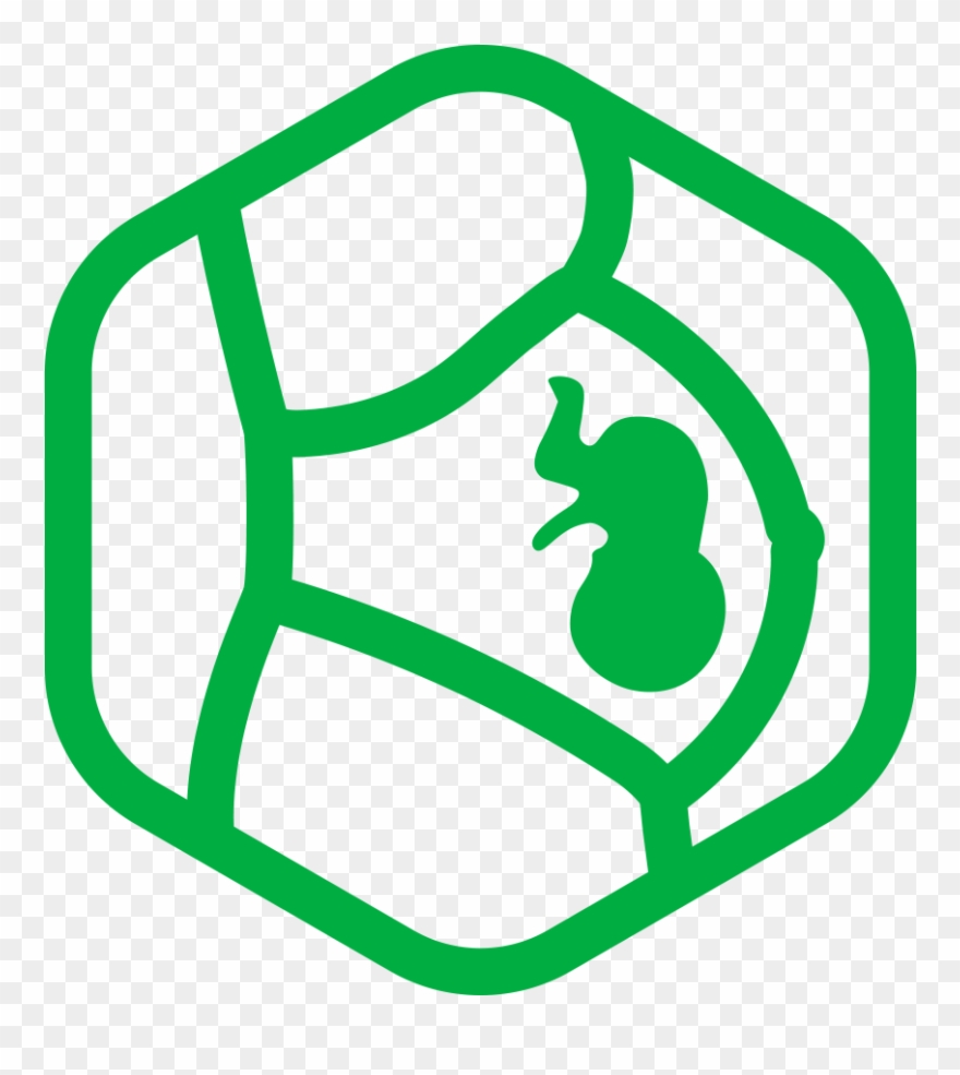 Metro Integrative Mipfertilitypng Clipart