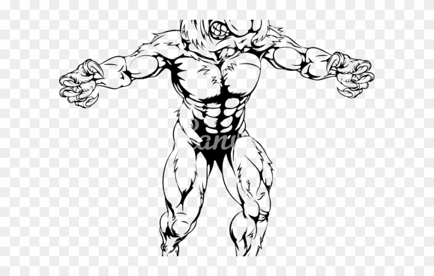 Raccoon Clipart Muscular - Png Download