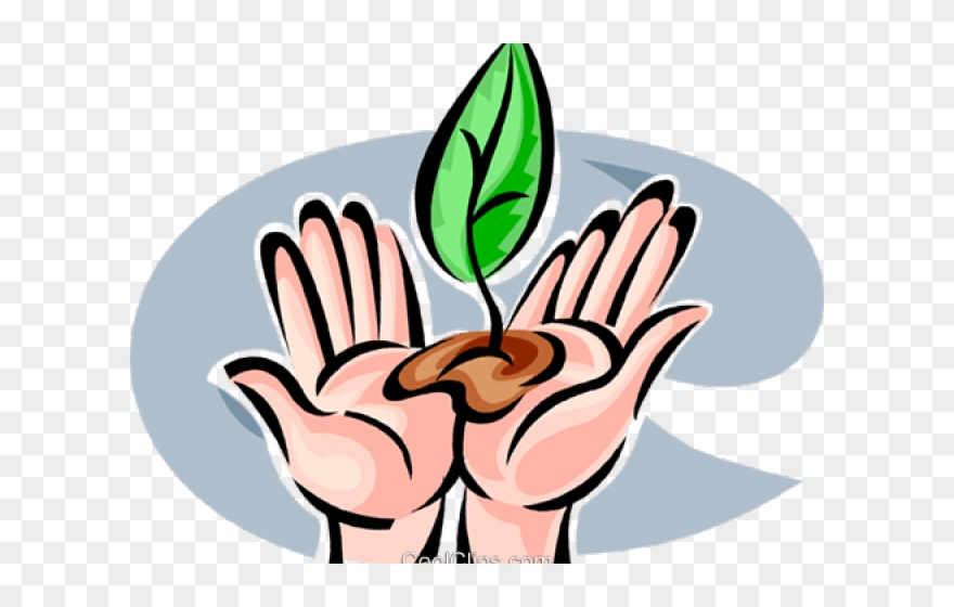 Seeds Clipart Hand - Png Download