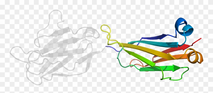 D6c08b2 In Context Of Chain Clipart