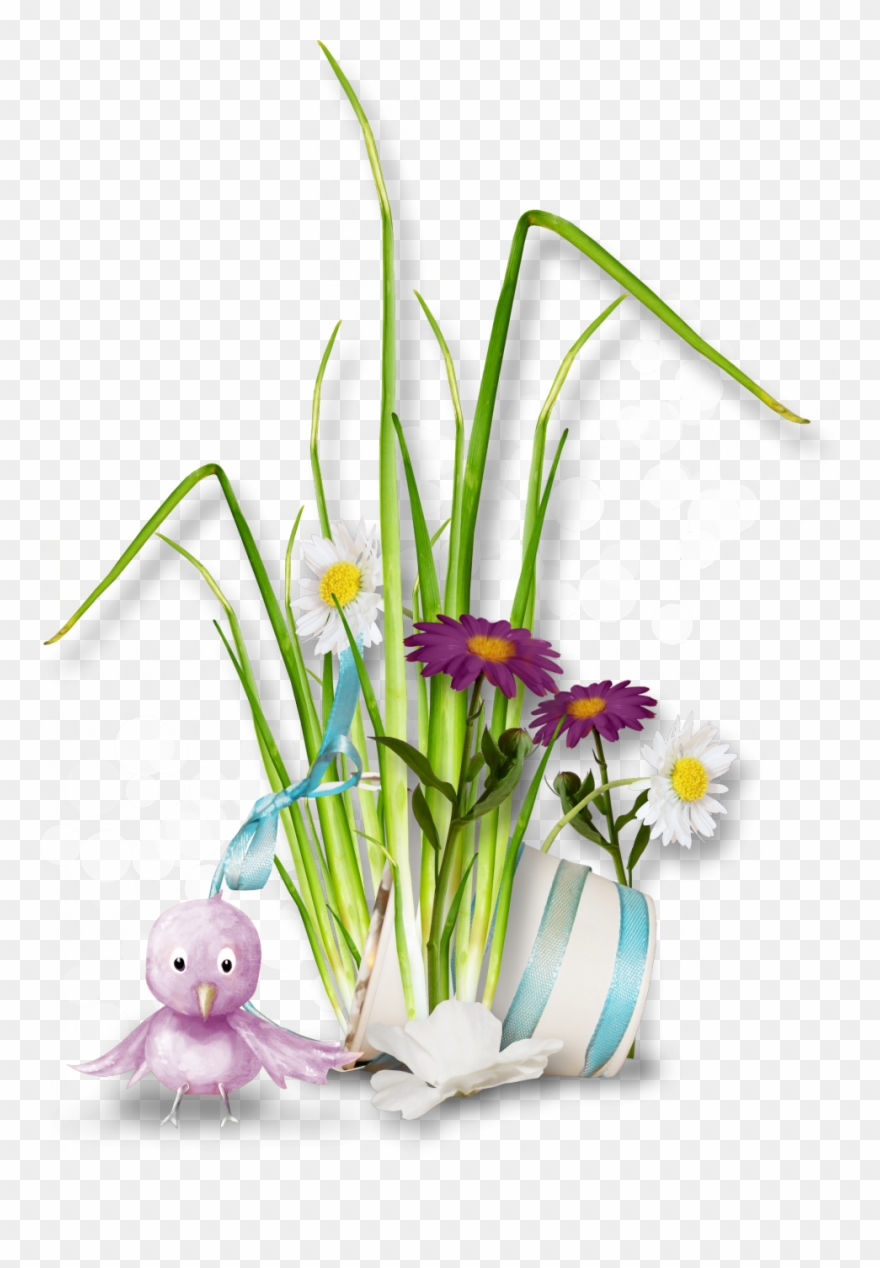 Tubes Varies Png Clipart