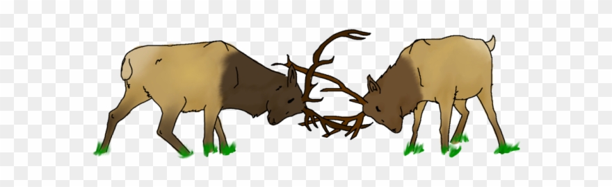 Drawn Elk Fighting Clipart