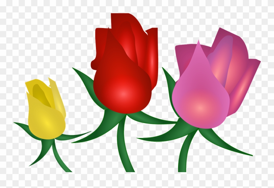 Rose Flowers Floral Clipart