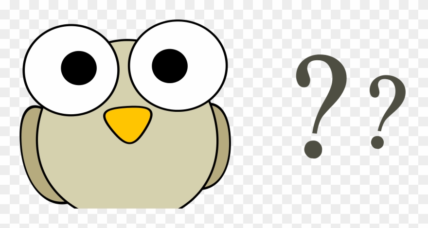 Why Do Birds Clipart