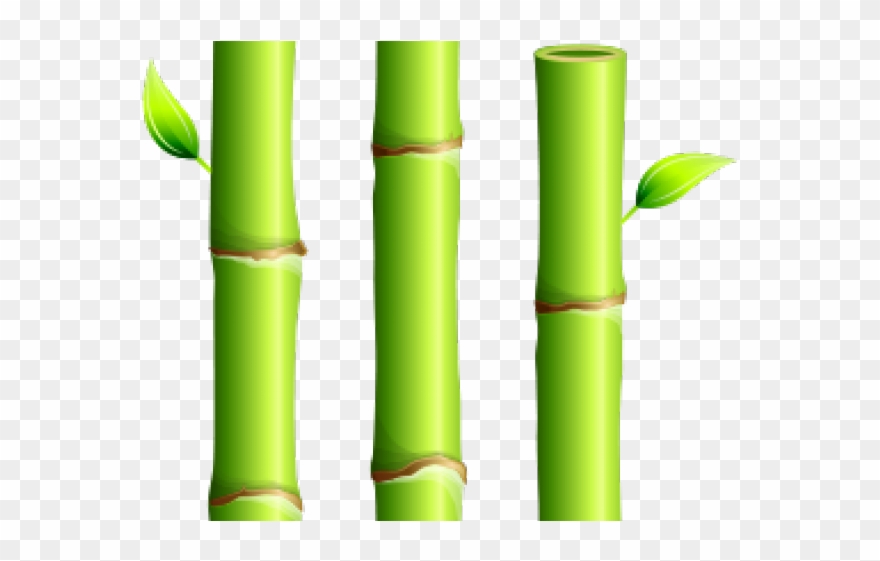 Bamboo Clipart One - Png Download