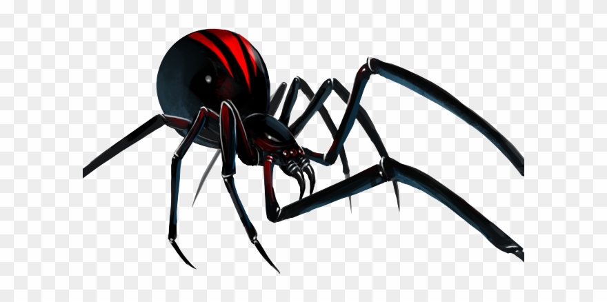 Spider Clipart Transparent Background - Png Download