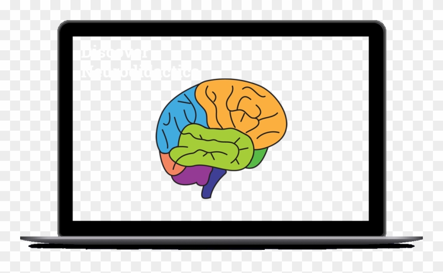 Start Your Neurok Course Now Clipart