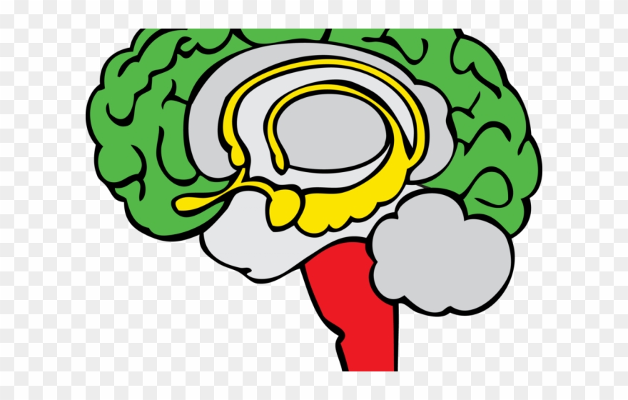Yellow Clipart Brain - Png Download