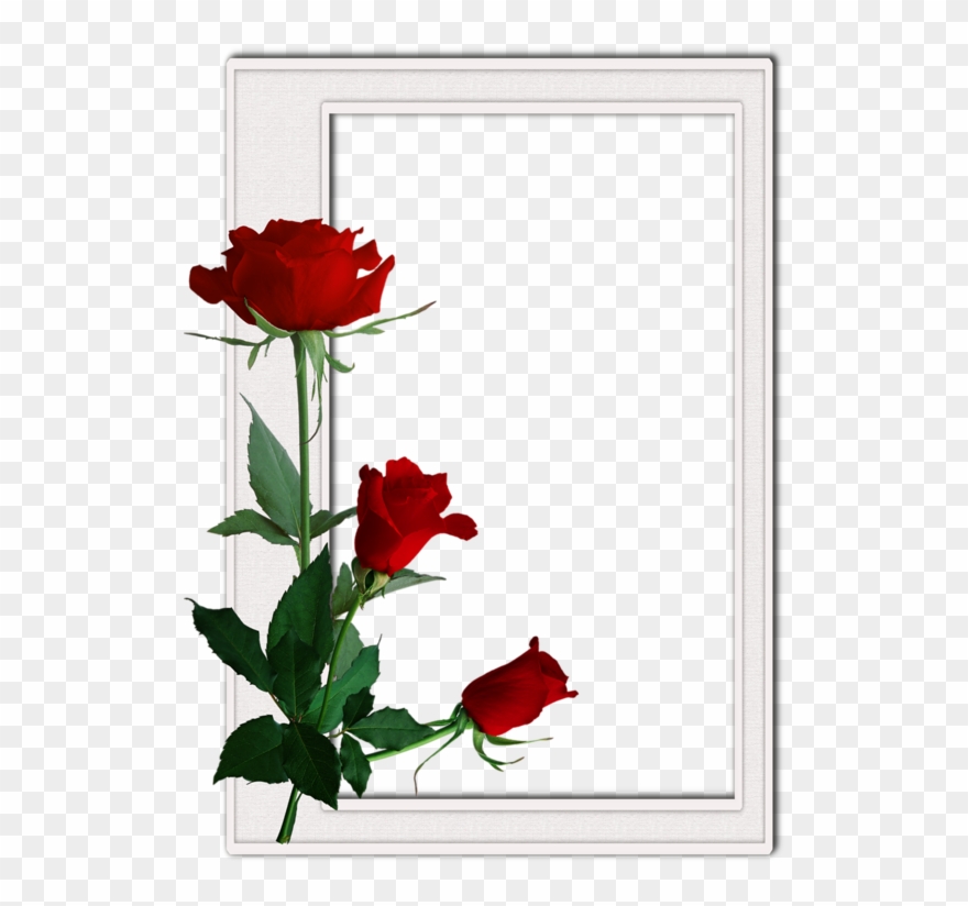 Decoratif Gifler - Forum Aski Clipart