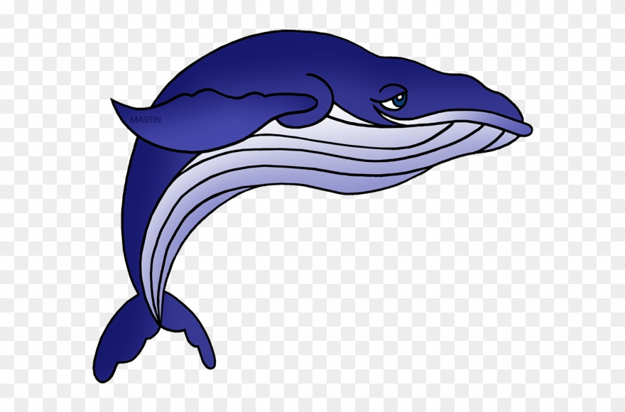 Bottlenose Dolphin Clipart Phillip Martin - Png Download