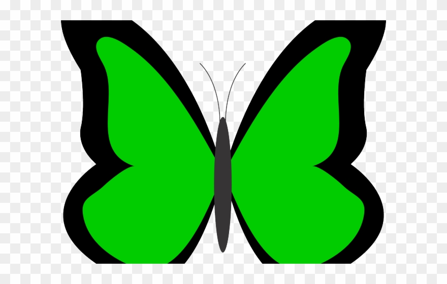 Panda Clipart Butterfly - Png Download