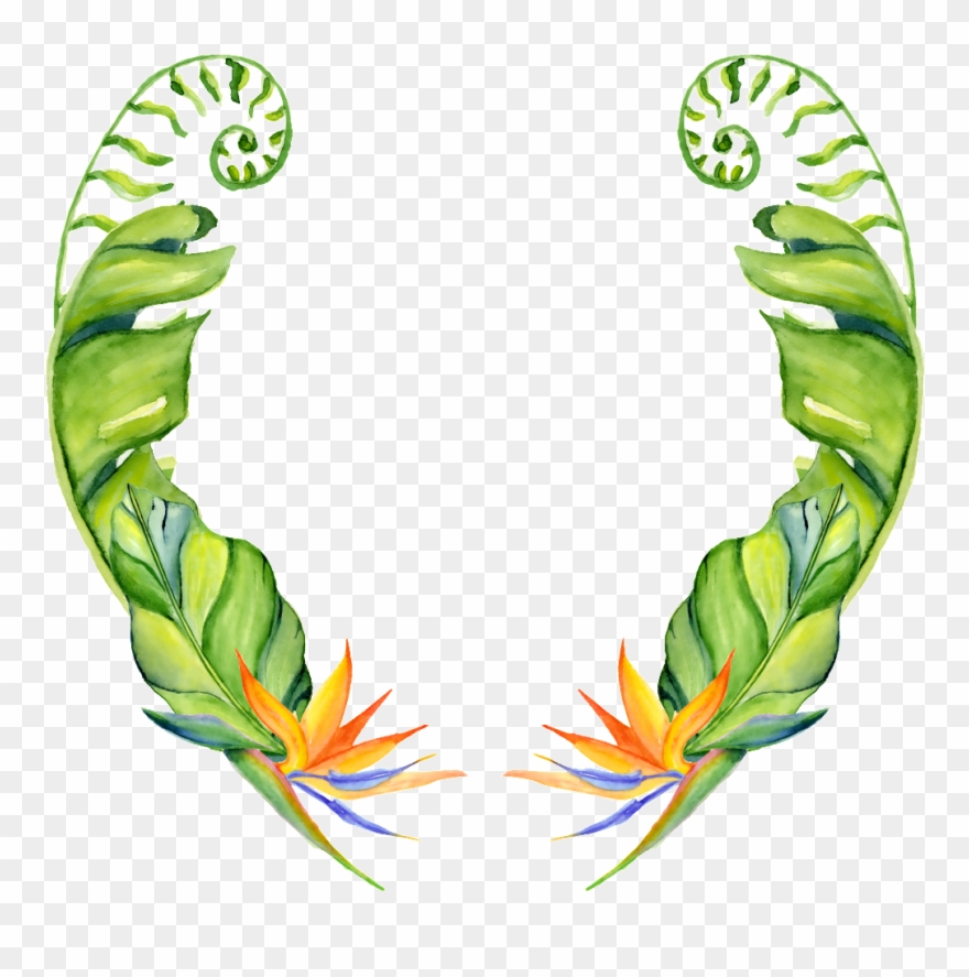 This Graphics Is Hand Painted Two Banana Leaves Png Clipart