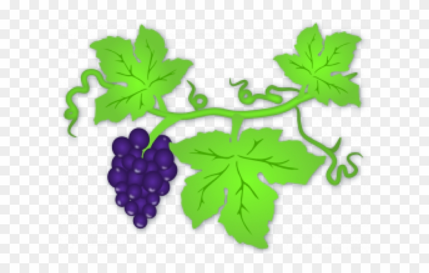 Grapes Clipart Yard - Png Download