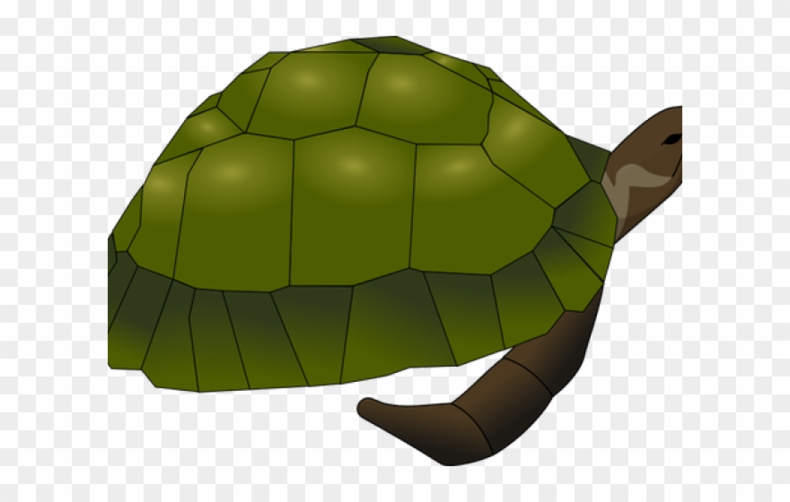 Tortoise Clipart Brown Turtle - Png Download