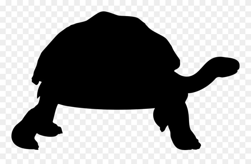 Medium Image Clipart
