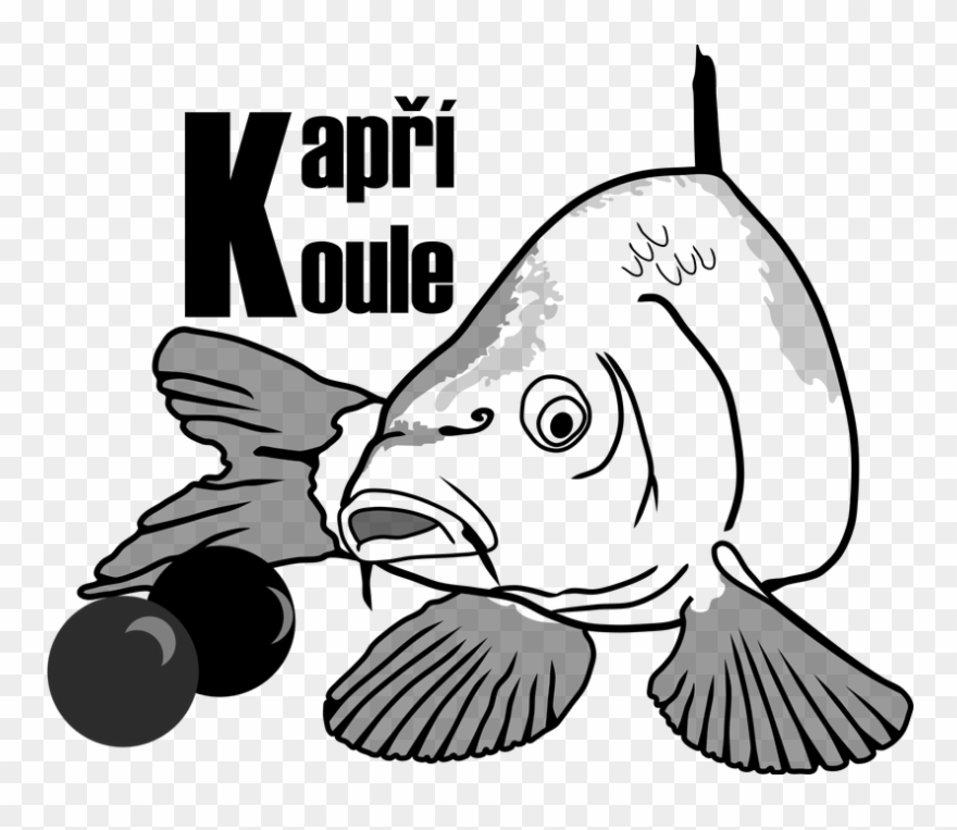 Carp Drawing Clip Art - Png Download