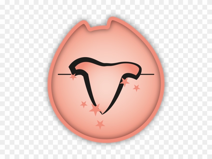 Katz Menu Salmon Clipart