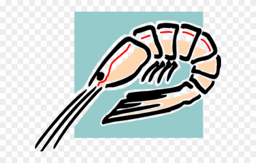 Shrimp Clipart Shellfish Allergy - Png Download