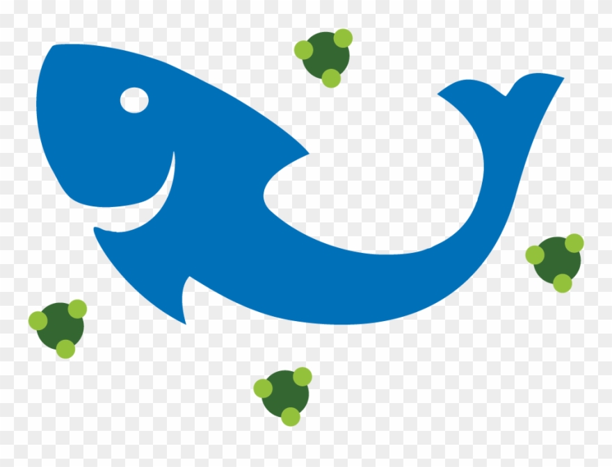 While The Plants Absorb All The Nutrients, The Water Clipart