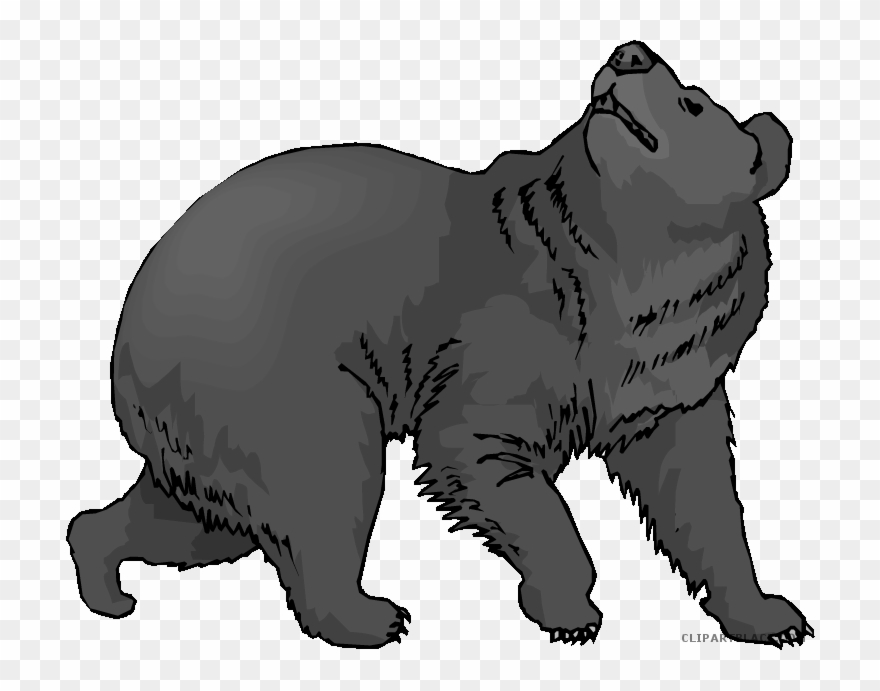 Cartoon Black Bear Png