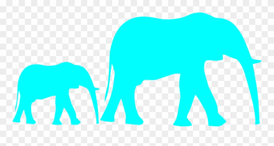 Free Png Download Elephant Png Images Background Png Clipart