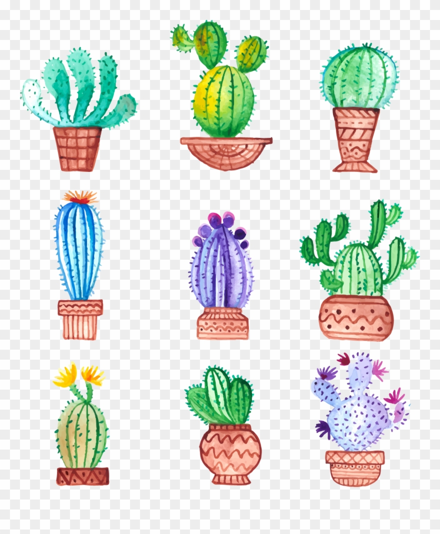 Graphic Library Download Cactaceae Painting Drawing Clipart