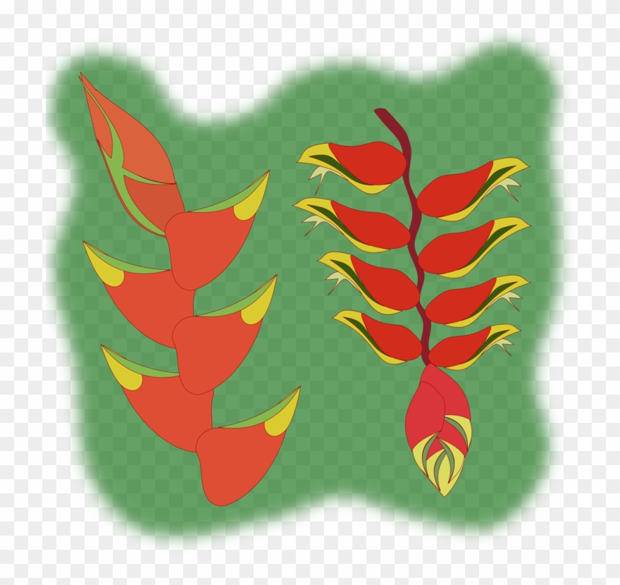 All Photo Png Clipart Transparent Png