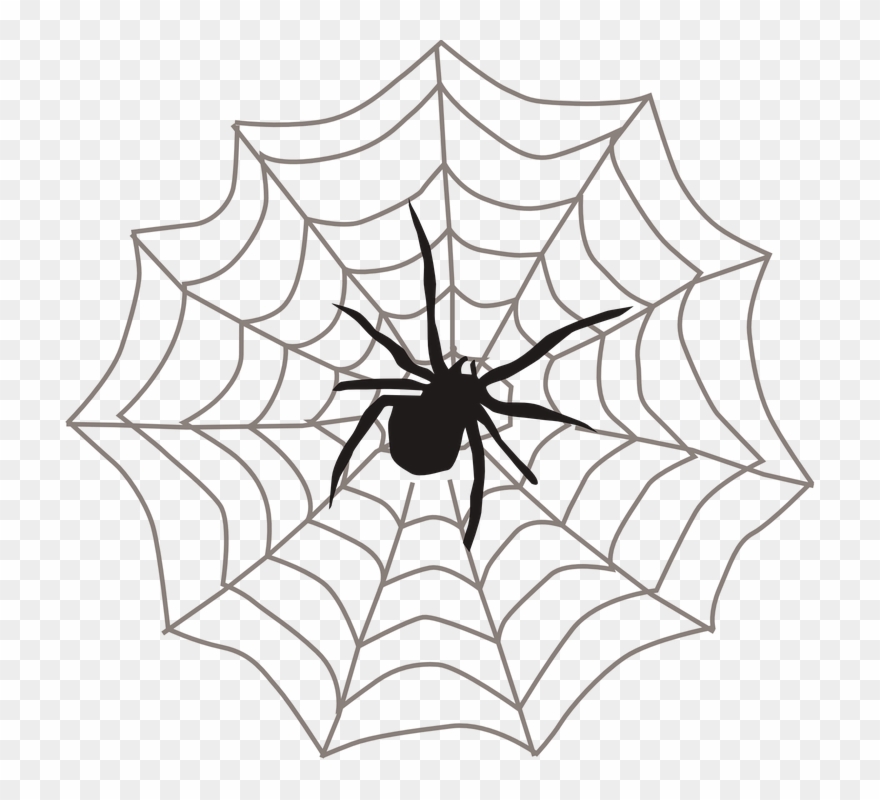 Spider On Web Clipart - Png Download