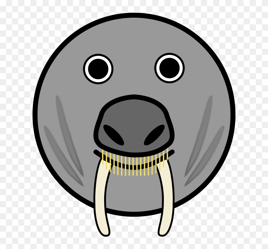 Cartoon Animals Face Clipart