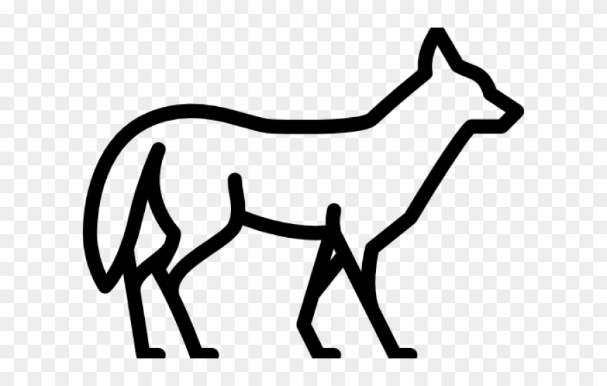 Animal Kingdom Clipart Forest - Clip Art - Png Download