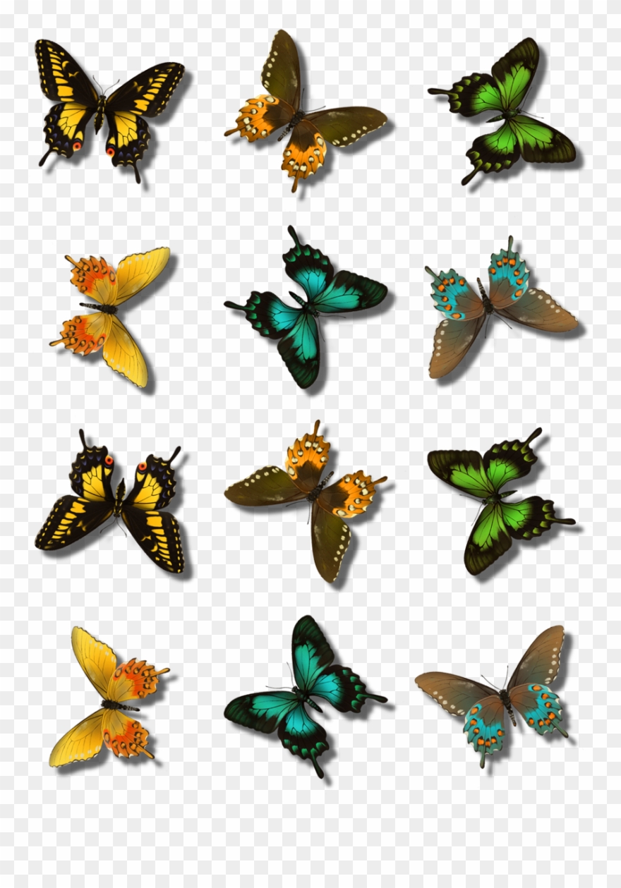 Clip Art Transparent Clip Mic Butterfly - Regata Com Estampa - Png Download