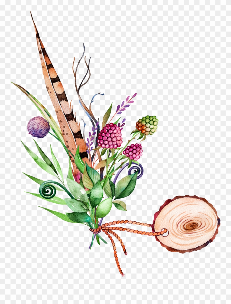 Clip Black And White Download Cilantro Drawing Watercolor - Painting Images On Plants - Png Download