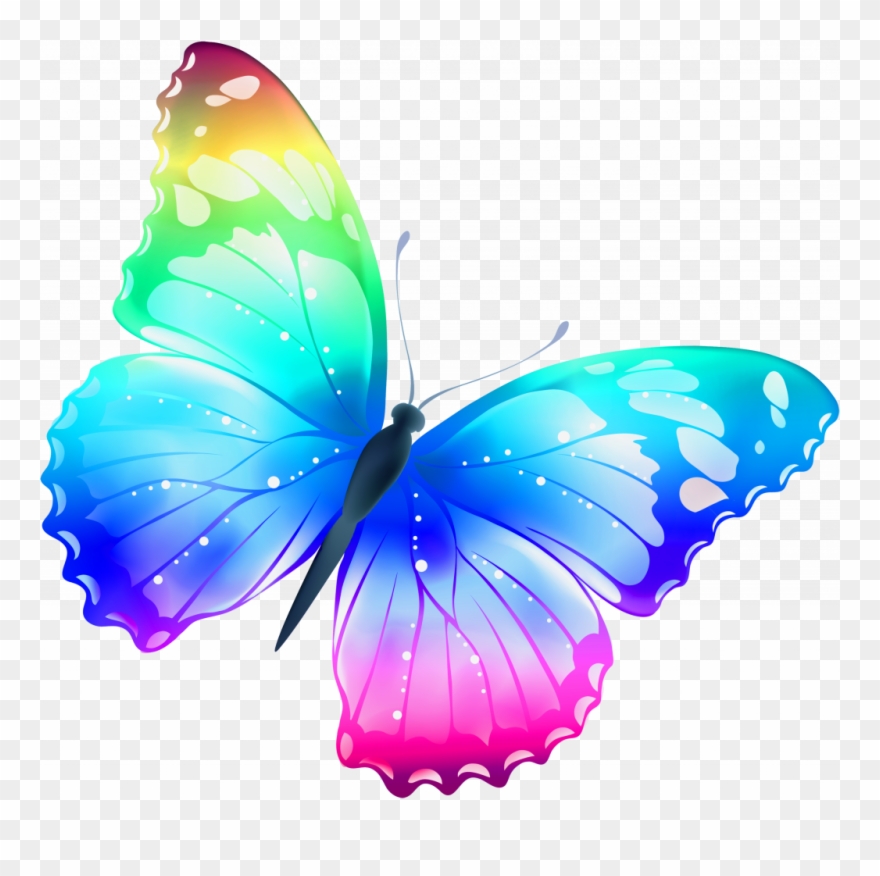 Last Minute Free Images Butterfly Pictures Of Butterflies - Color Butterfly Png Clipart