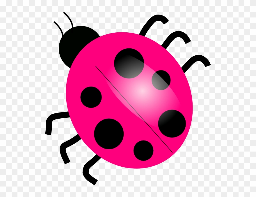 Clipart Info - Png Download