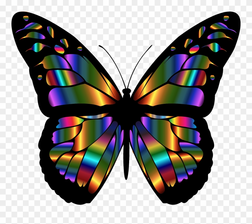 Monarch Butterfly Clipart Real Butterfly - Passion Dust Intimacy Capsule - Png Download