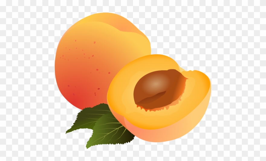 Clipart Damasco Frutos Logo Grtis Png E - Abricot Dessin Transparent Png