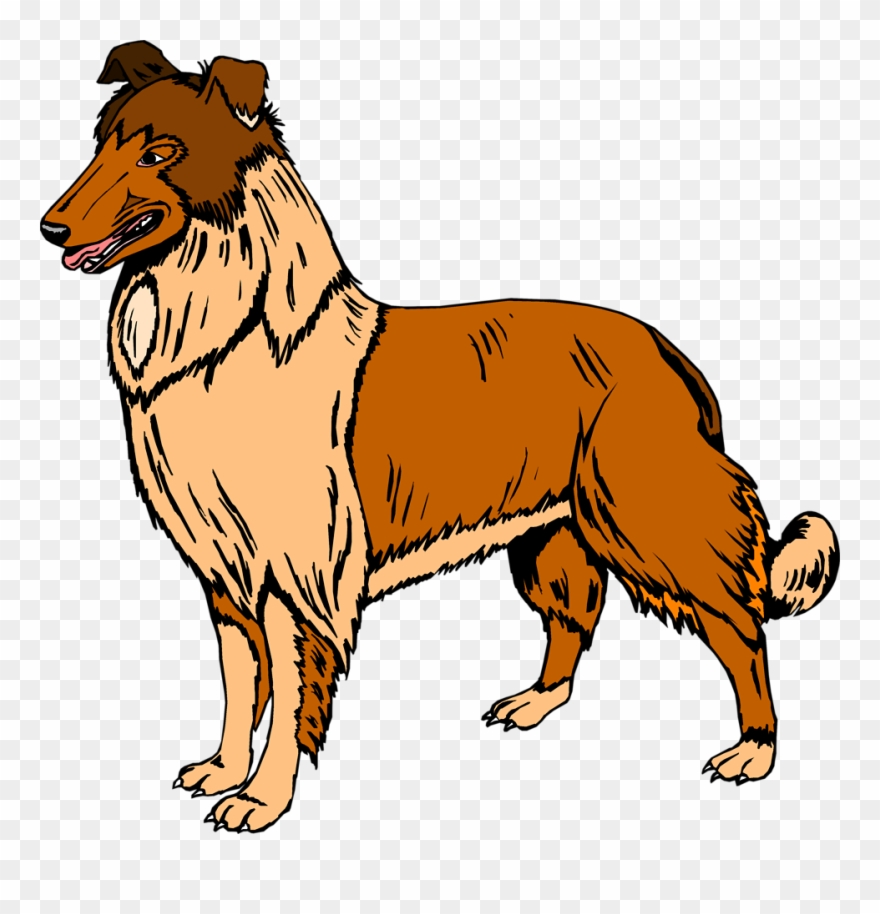 Collie Clipart Real Dog - Buff: A Collie And Other Dog Stories - Png Download
