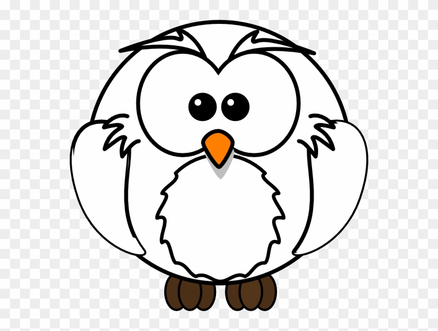 White Owl Cliparts - Cartoon Animals To Colour - Png Download