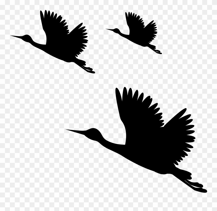 Hd Png For Editing Clipart