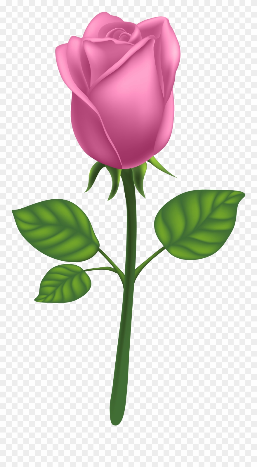 Family Clipart Png Transparent Png