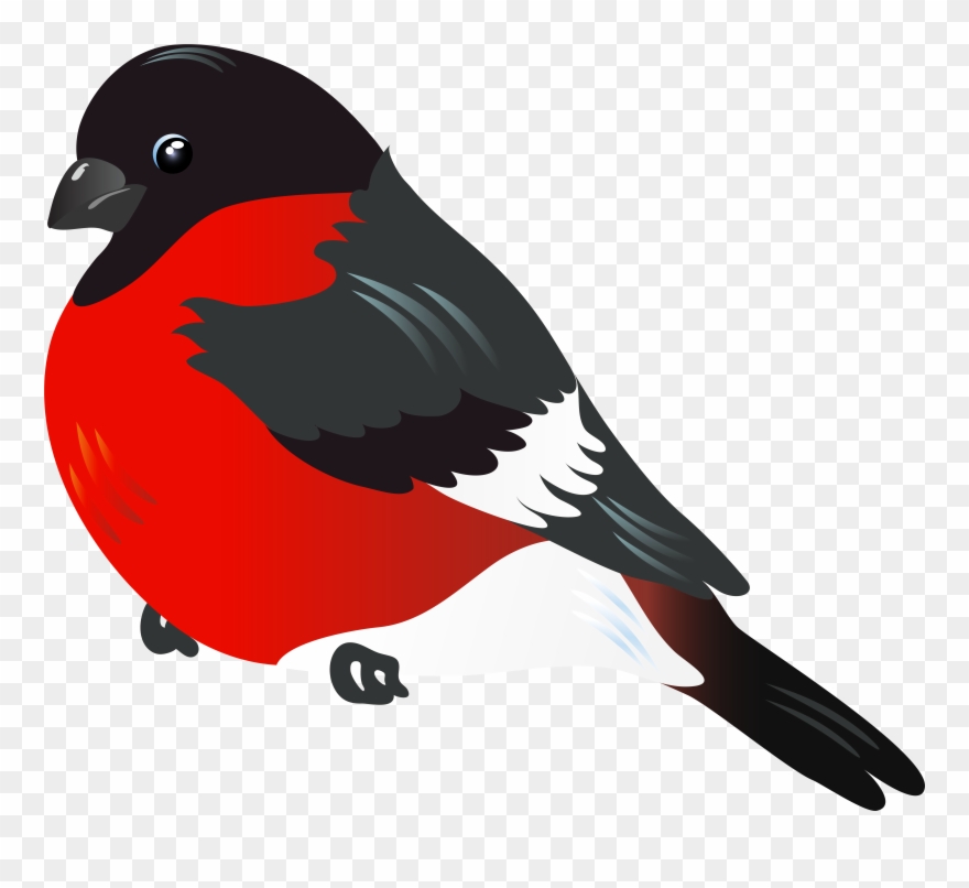 Red Bird Clipart Png Transparent Png