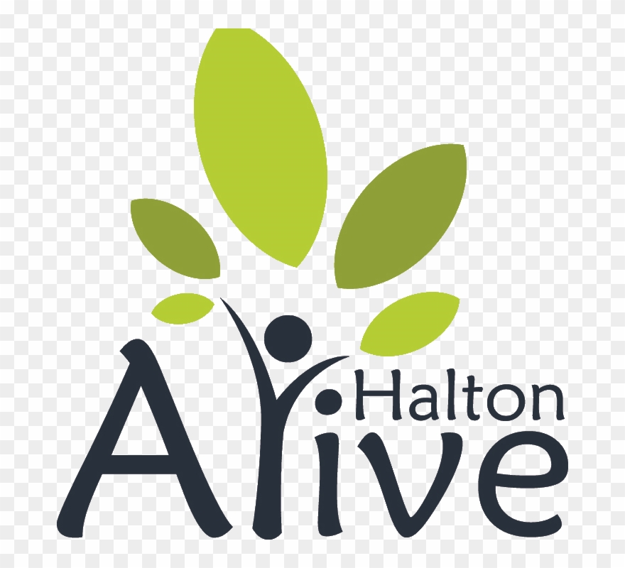 Halton Alive - Word Order Of Adverbs Clipart