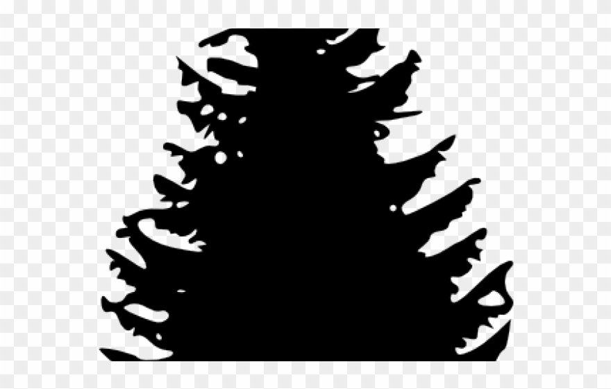 Pinetree Clipart - Pine Tree Black And White Clipart - Png Download