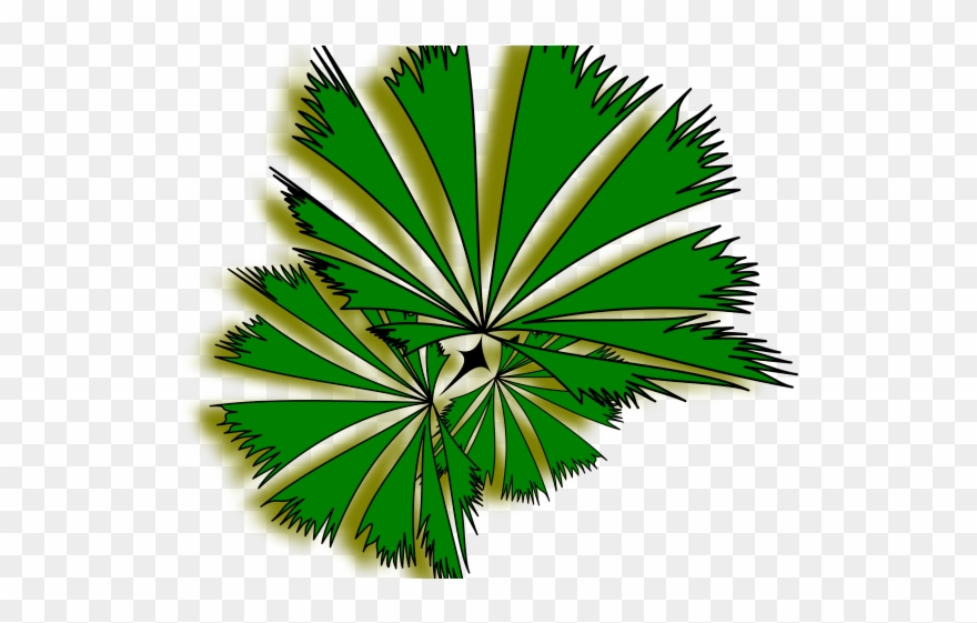 Island Clipart Top View - Palm Trees - Png Download
