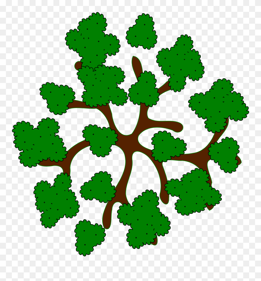 Top Of Tree Clipart - Clip Art - Png Download