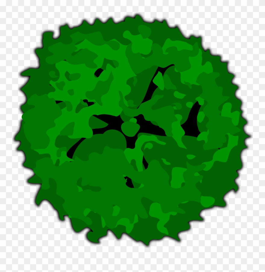 Tree Clipart Clipart Tree Top - Clip Art - Png Download