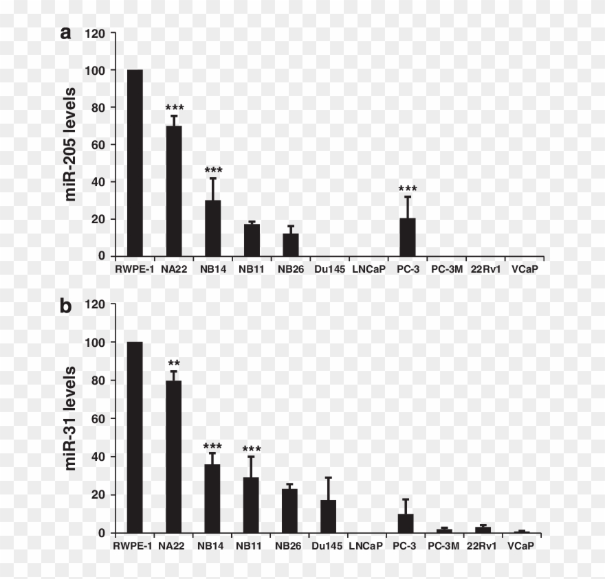 Mir 205 And Mir 31 Are Downregulated In Advanced Prostate Clipart