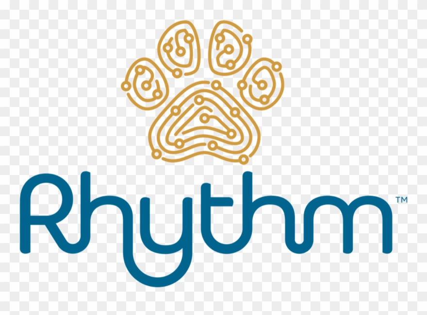 Chief Data Officer Rhythm Is An Early (stealth) Stage Clipart