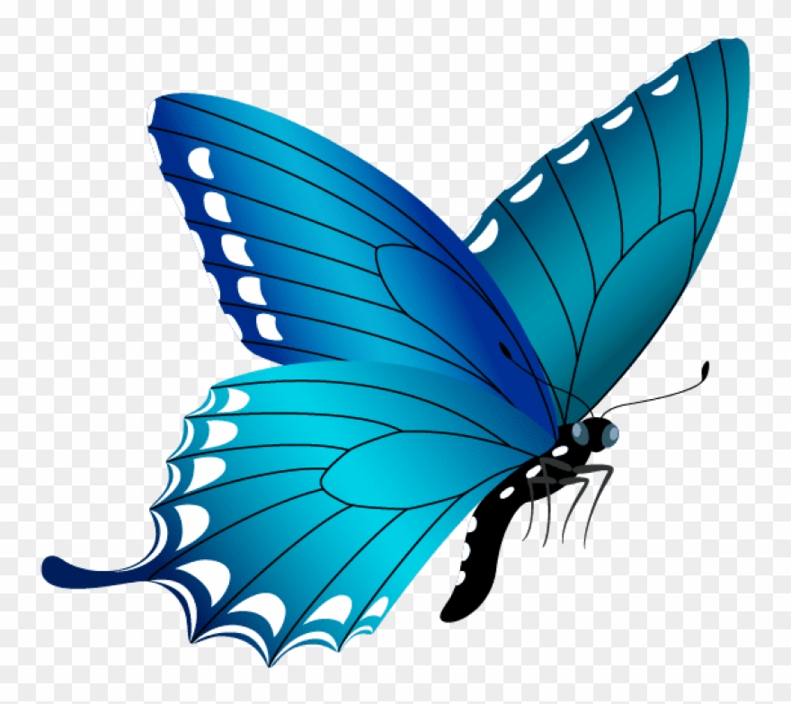 Free Png Download Blue Butterfly Clipart Png Photo Transparent Png