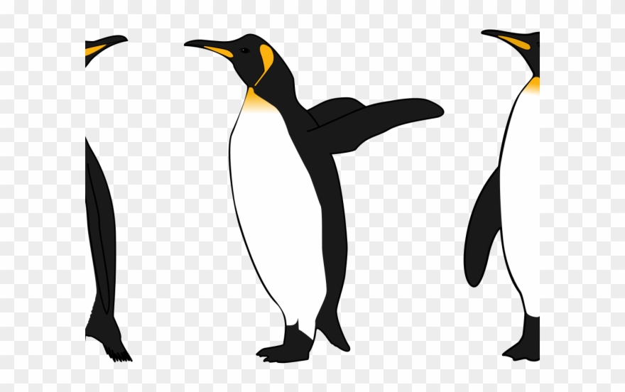 King Penguin Clipart - Png Download